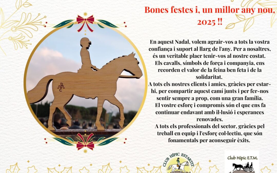 Bones festes i, un millor any nou, 2025!